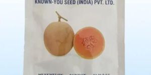 Muskmelon Seeds