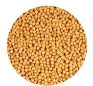 Yellow Mustard Seeds