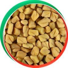 Fenugreek Seeds