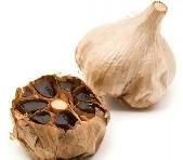 Garlic Extract