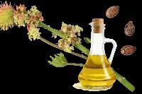 Castor Oil Derivatives