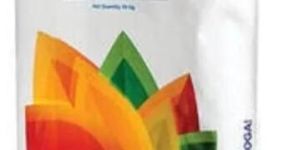 Birla White Wall Putty