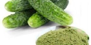 Cucumber Extract