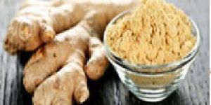 GINGER EXTRACT