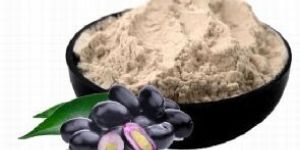 Jamun Powder