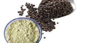 Piperine