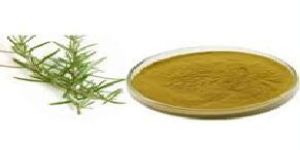 Rosemary Extract