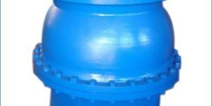 Foot Valve