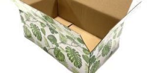 Vegetable Box