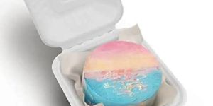Bento Box