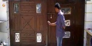 Automatic Swing Gate Mo