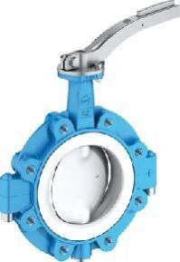 EBRO Armaturen PTFE Line Lug Control Valve
