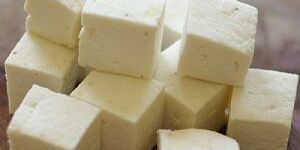 Paneer