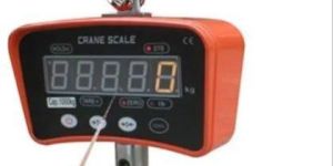 Electronic Crane Scale