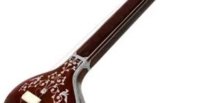 Tanpura Cover