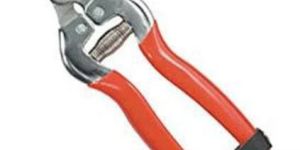 Stainless Steel Fruit Pruner