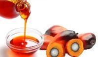Palm Fruit Oil