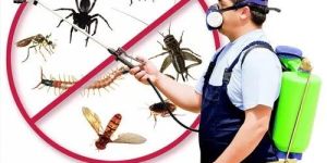 Industrial Insect Control Services