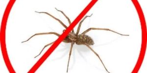 Industrial Spider Control Services