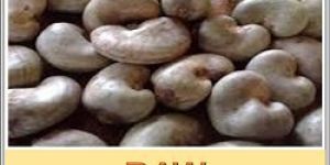 Raw Cashew Nuts