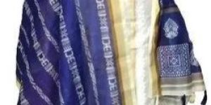 Embroidered Ethnic Chanderi Suit