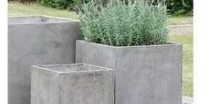 Concrete Flower Pot