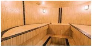Steam Sauna