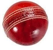 Leather Cricket Balls