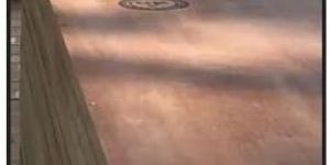 Centuryply Veneer Plywood