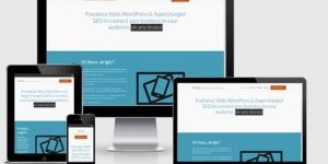 Wordpress Development Services