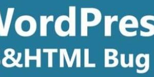 We Will Fix WordPress CSS Quick