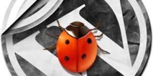 Wordpress Development Services