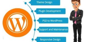 We Will Move Wordpress Site in 24 Hours