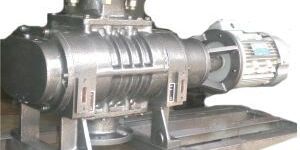 Roots Vacuum Pumps