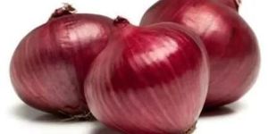 Organic Red Onion