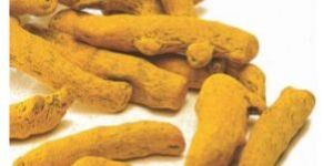 Turmeric Finger
