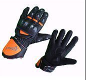 Motorbike Gloves