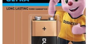 Duracell Alkaline Battery