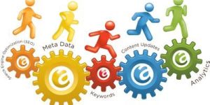 Web Maintenance Service