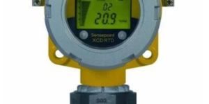 Portable Gas Detector