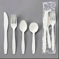 Biodegradable Plastic