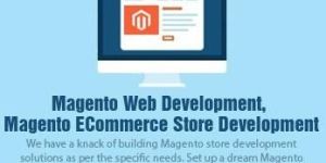 Magento Extension Development Services