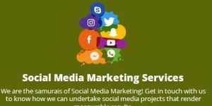 Social Media Promotion Services