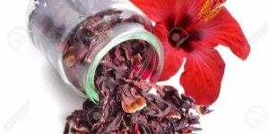 Hibiscus Extract