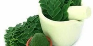 Moringa Leaves Powder