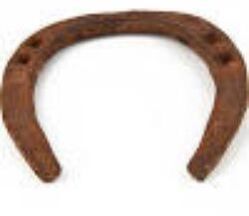 Black Horse Shoe