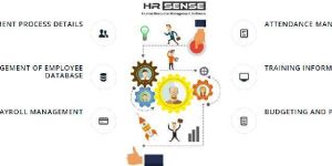 HR Sense - Human Resource Management Software