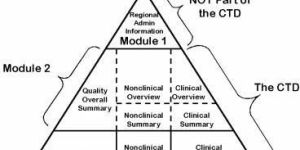 Pharmaceutical Dossier