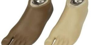 Sach Foot Lower Limb