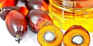 Palm Olein Oil